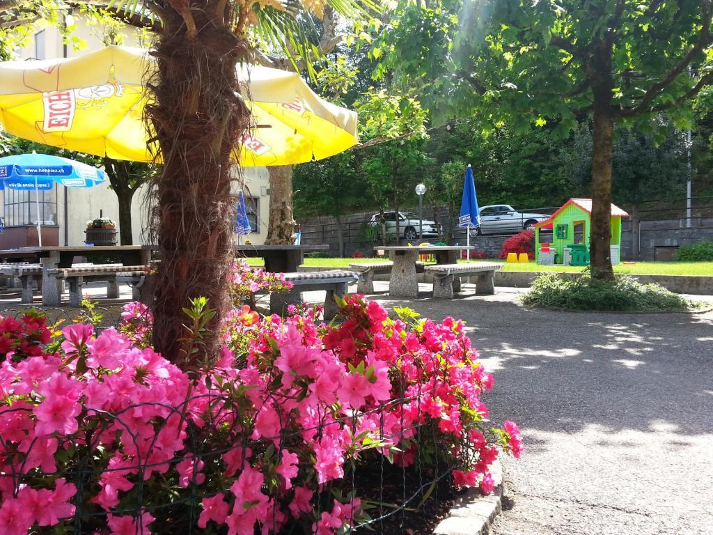 Osteria Belvedere Losone Exterior photo